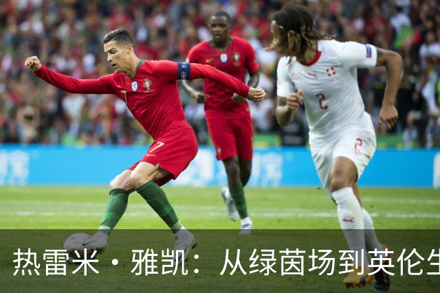 热雷米·雅凯：从绿茵场到英伦生活的小伙子